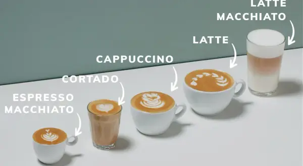 Kaffee-Variationen: Espresso Macchiato, Cortado, Cappuccino, Latte und Latte Macchiato. Der Unterschied zwischen Cappuccino und Latte wird hier visuell erklärt.
