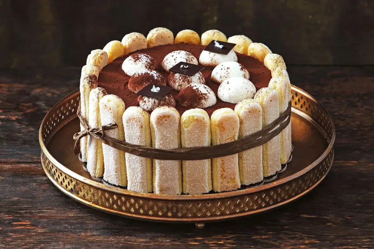 Ein köstliches, original italienisches Tiramisu-Torte, umrandet von Löffelbiskuits und verziert mit Kakao und Schokolade.